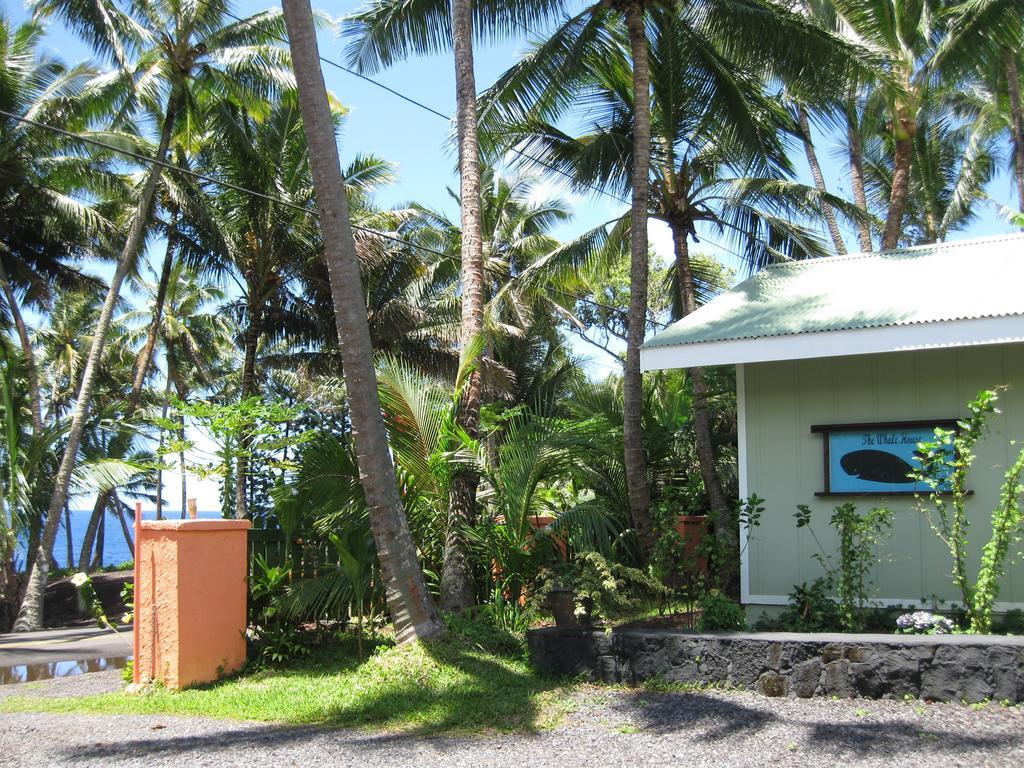 Whale House At Kehena Beach Pahoa Habitación foto