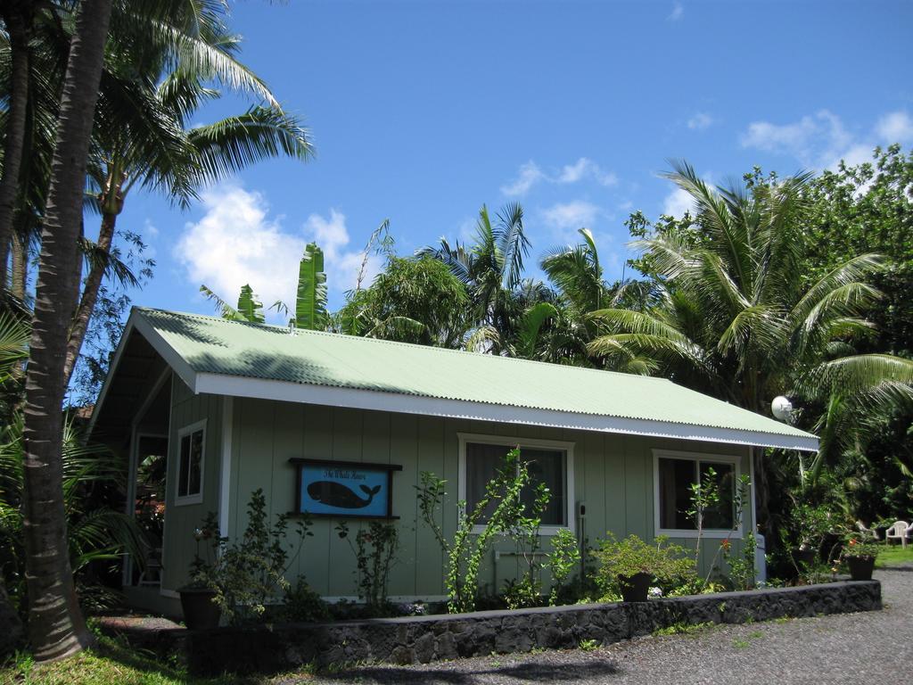 Whale House At Kehena Beach Pahoa Habitación foto